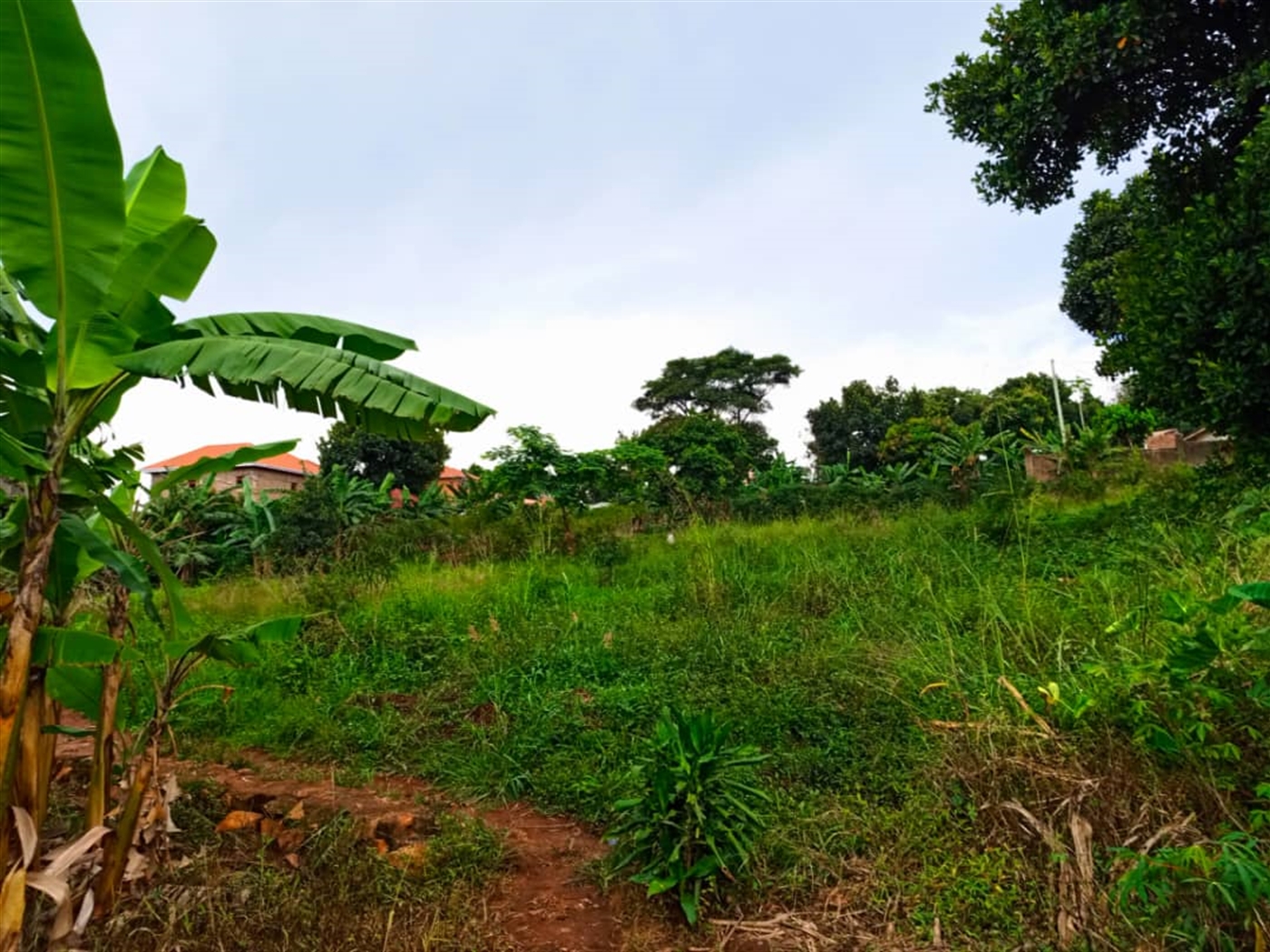 Residential Land for sale in Kireka Wakiso