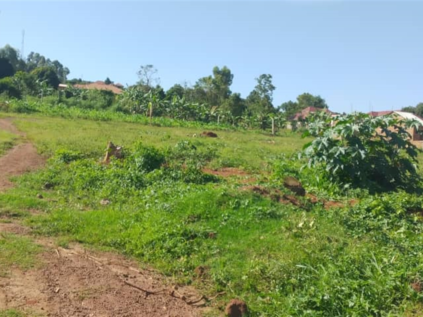 Residential Land for sale in Sonde Wakiso