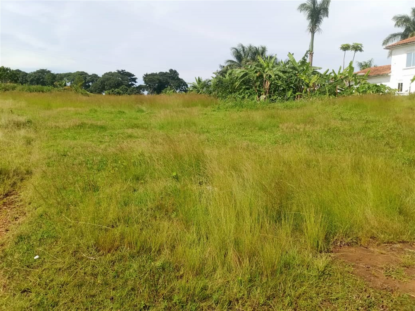 Residential Land for sale in Garuga Wakiso