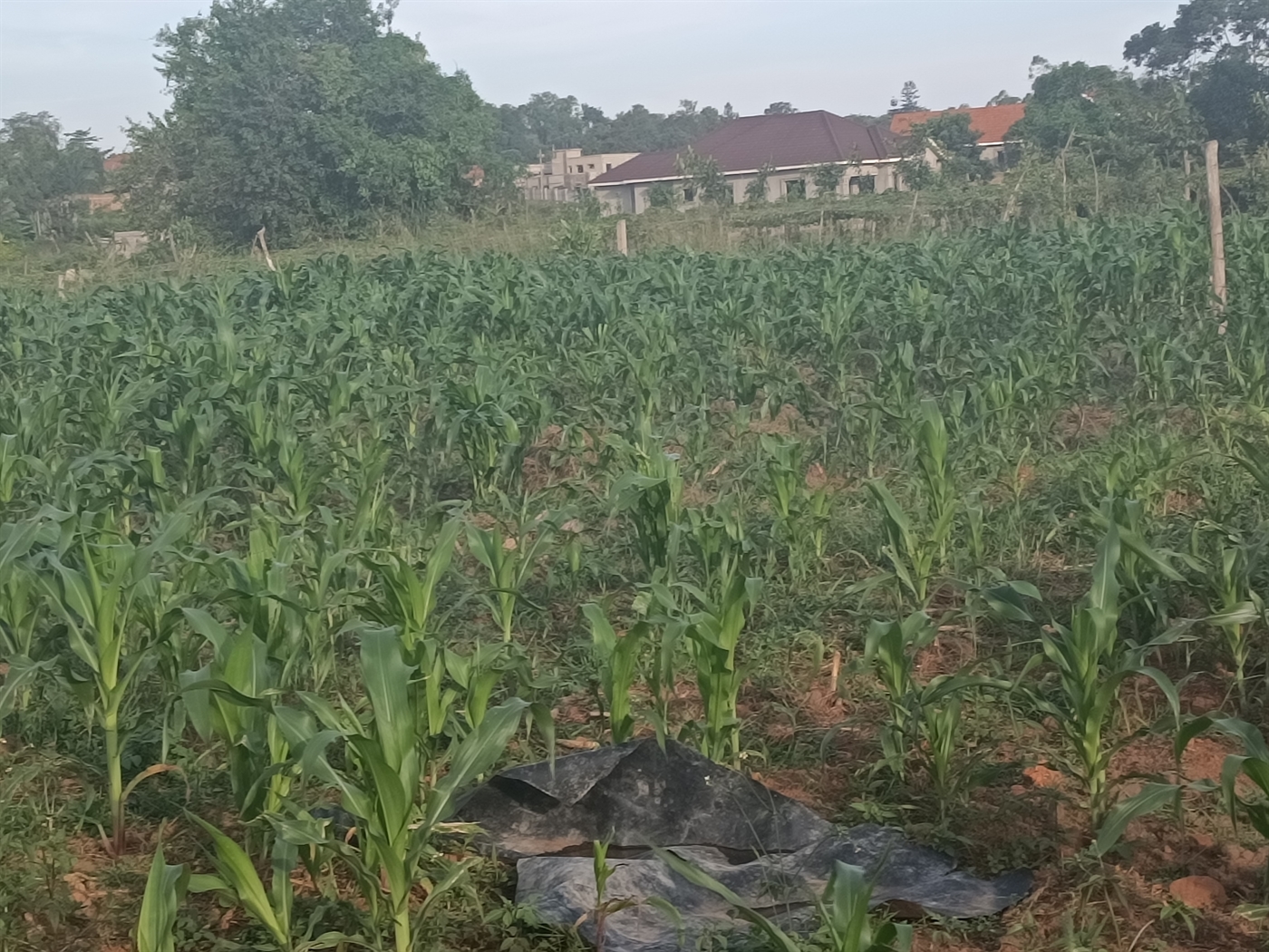 Residential Land for sale in Kira Wakiso