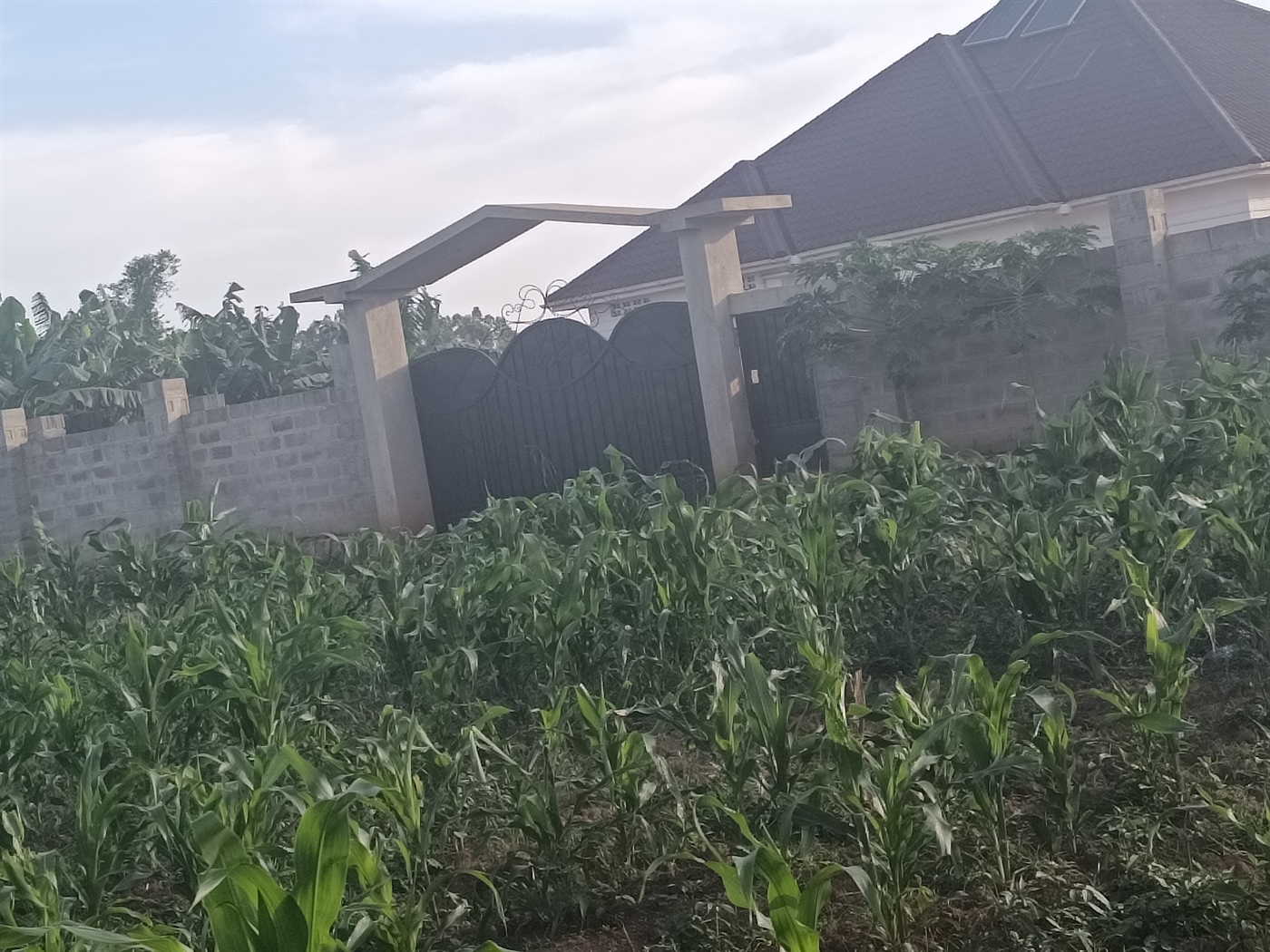 Residential Land for sale in Kira Wakiso