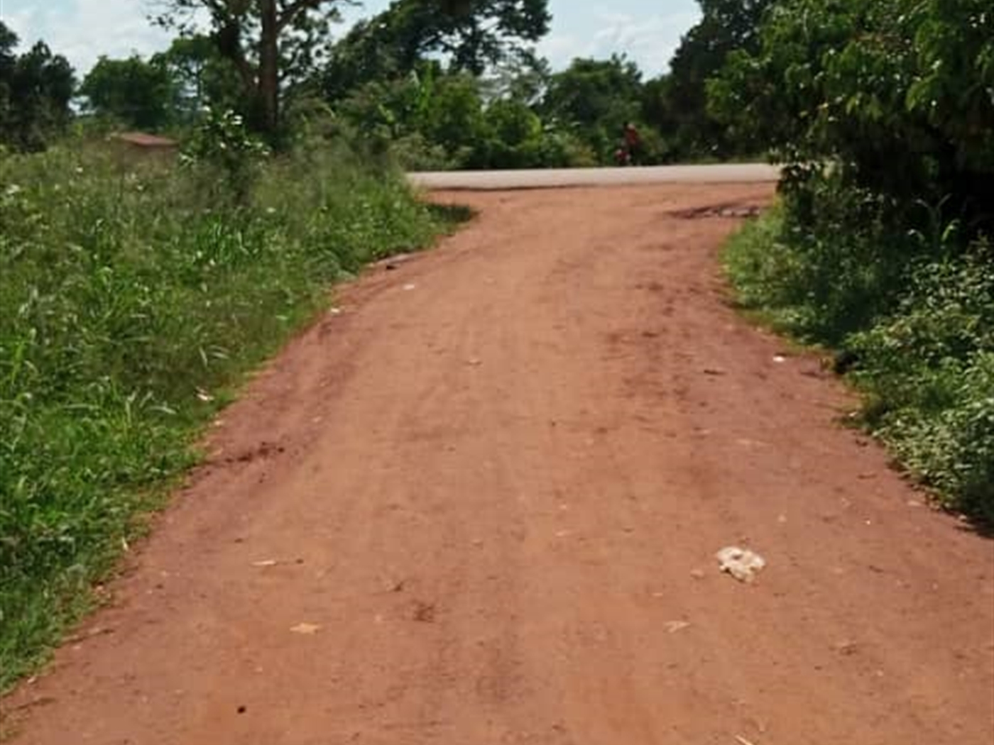 Residential Land for sale in Ndibulungi Luweero