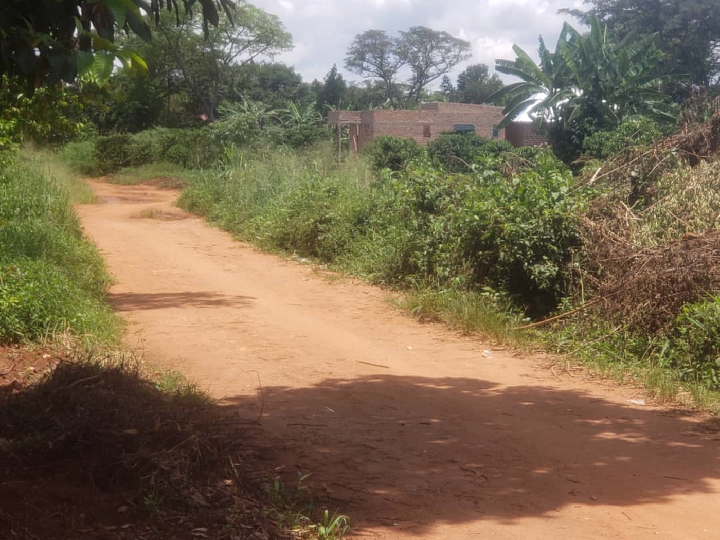 Residential Land for sale in Ndibulungi Luweero