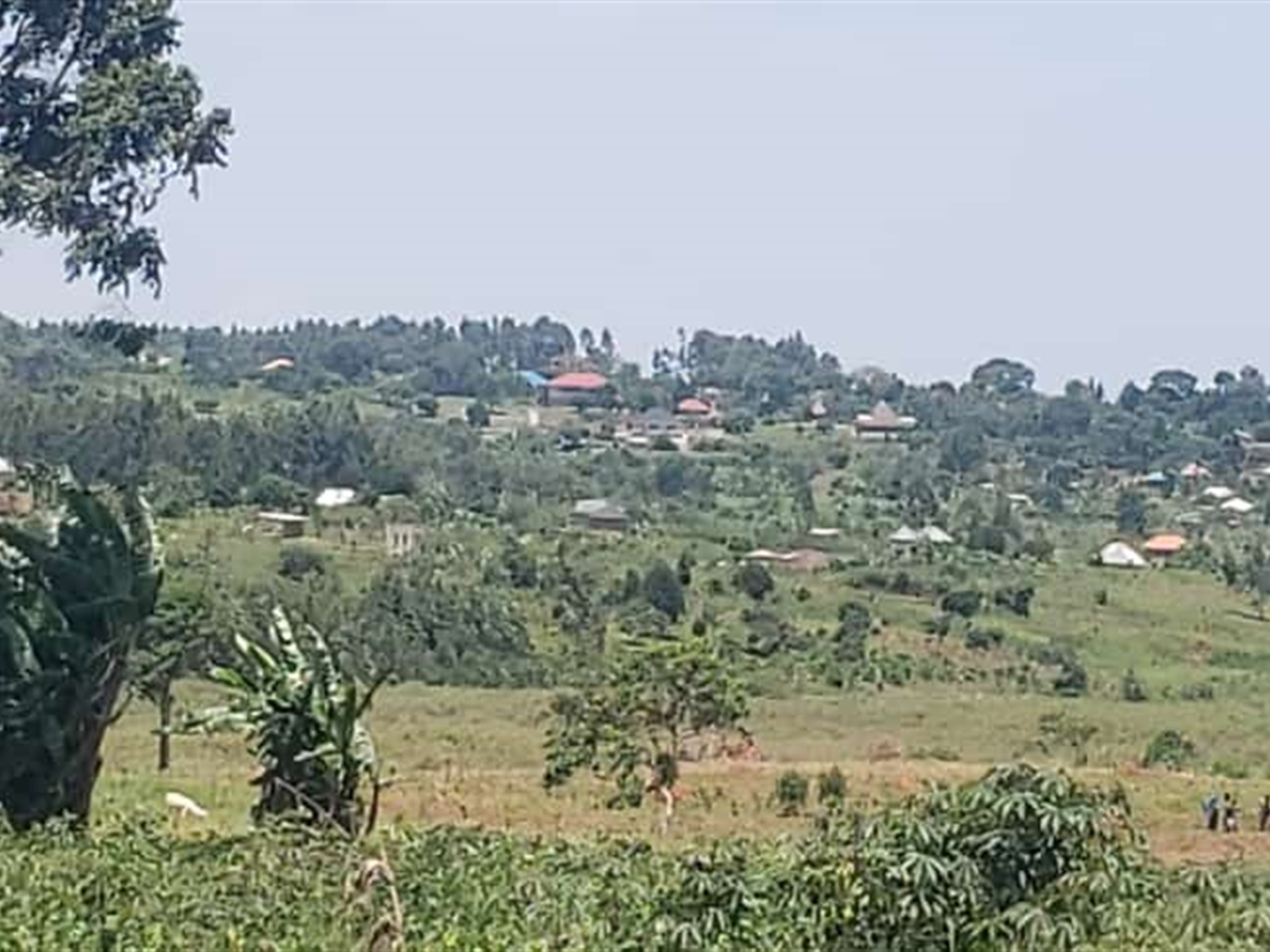 Residential Land for sale in Kasanjje Wakiso