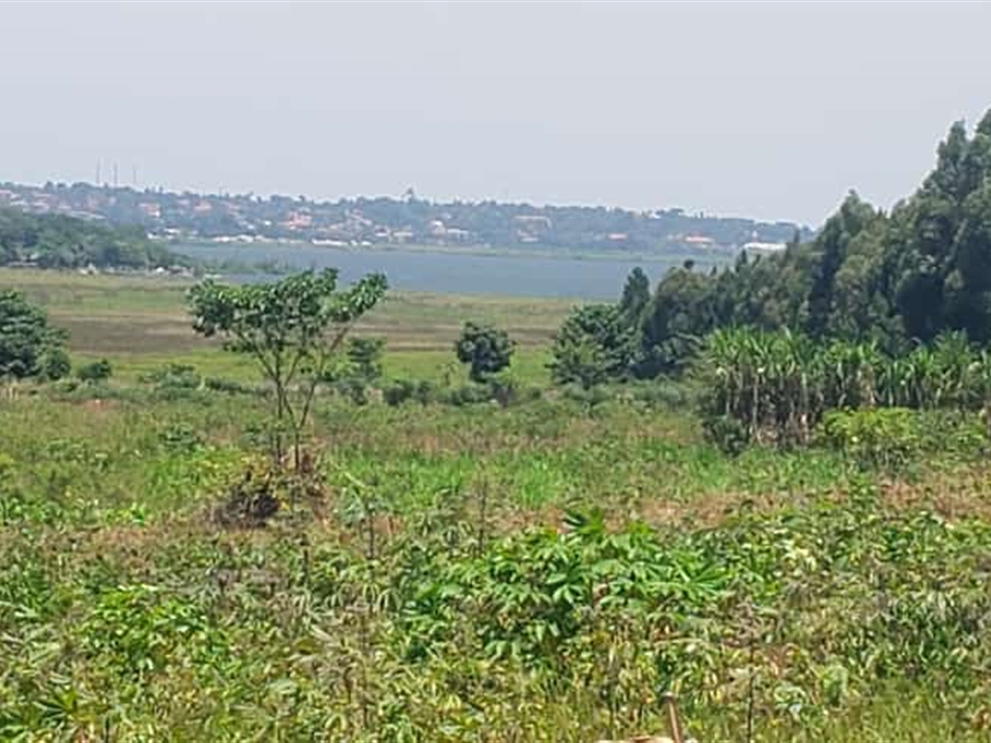 Residential Land for sale in Kasanjje Wakiso