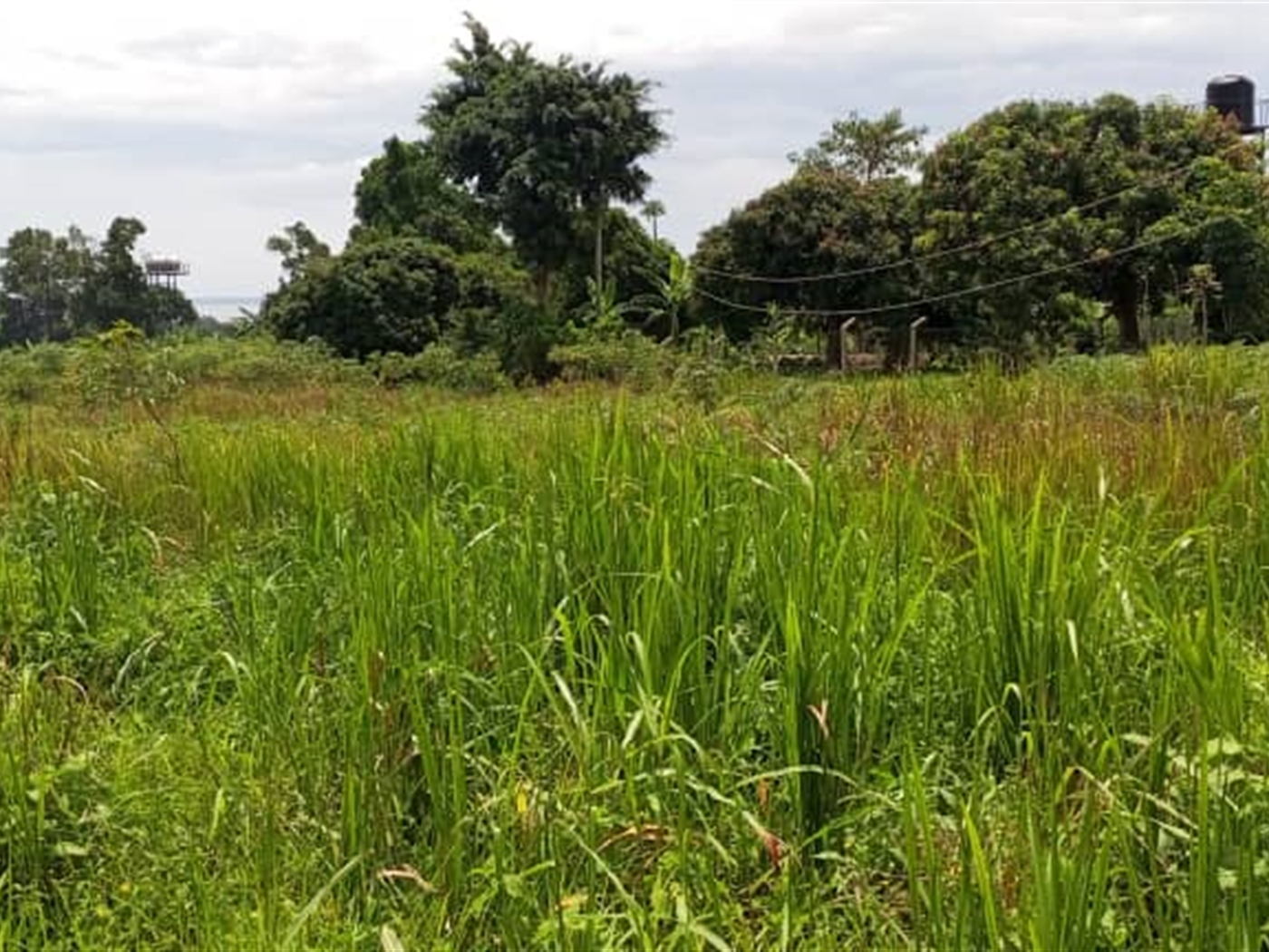 Residential Land for sale in Bwelenga Wakiso