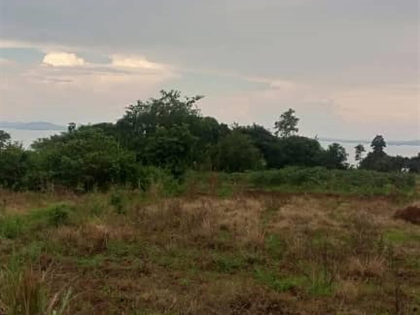 Residential Land for sale in Bwelenga Wakiso