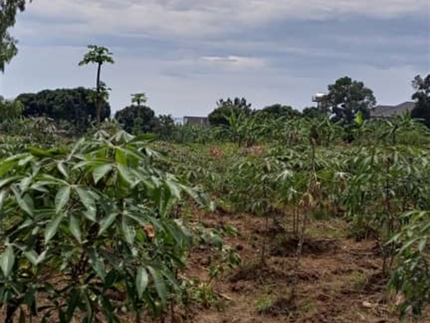 Residential Land for sale in Bwelenga Wakiso