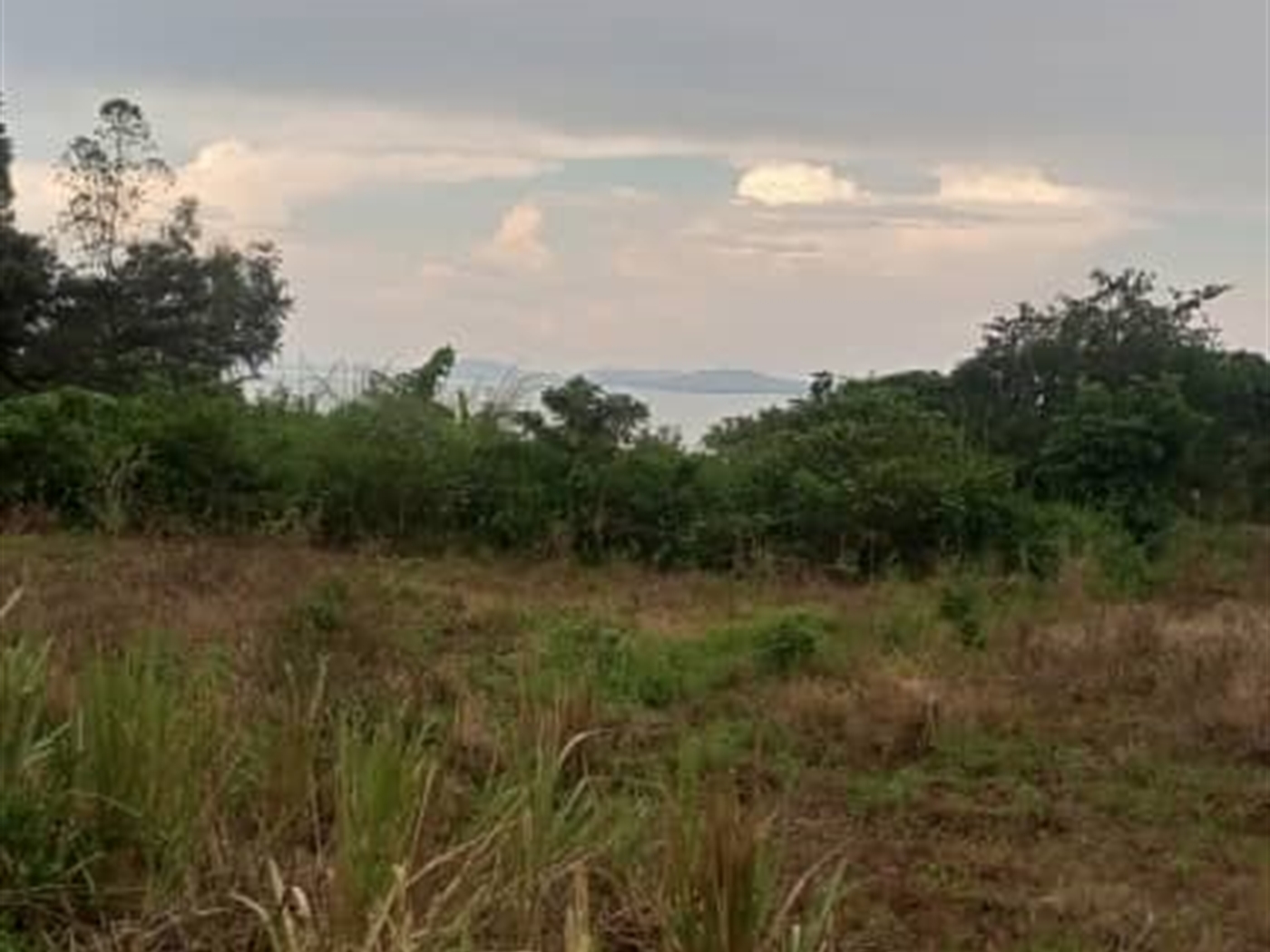 Residential Land for sale in Bwelenga Wakiso