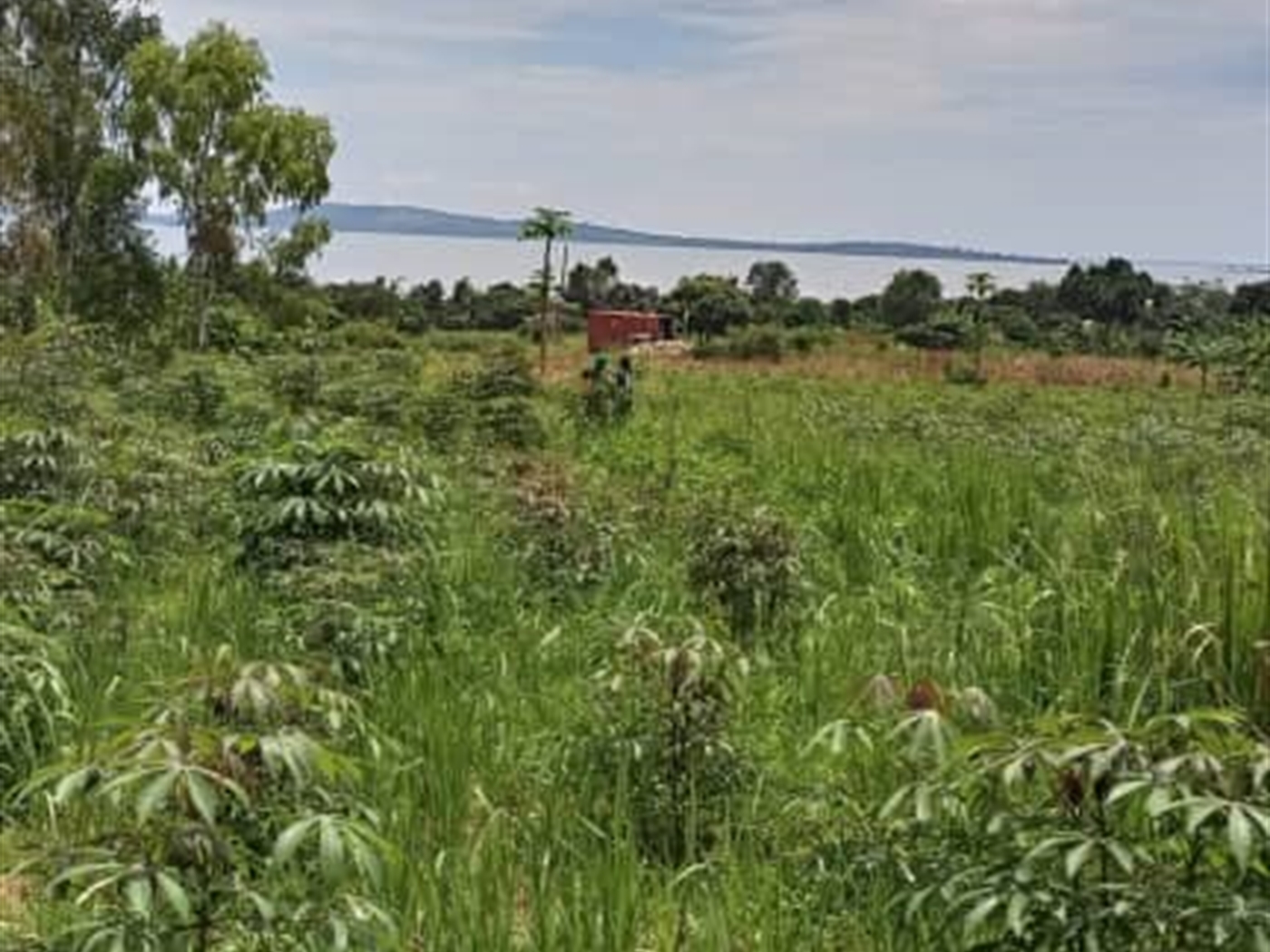 Residential Land for sale in Bwelenga Wakiso