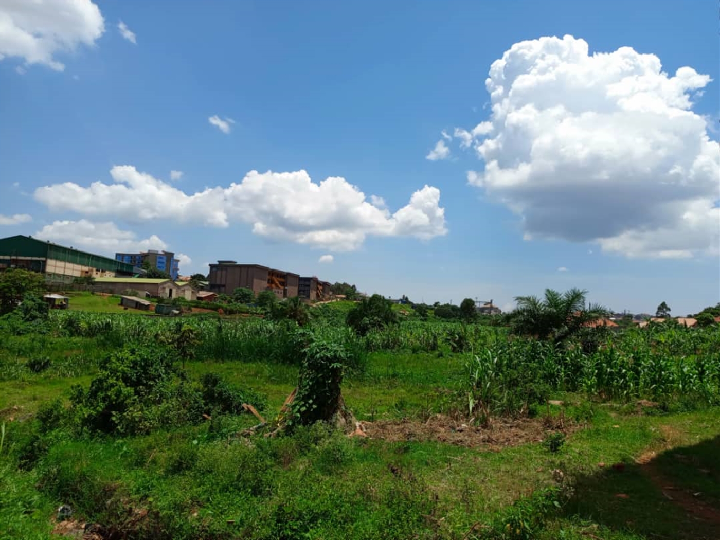 Residential Land for sale in Mbalwa Wakiso