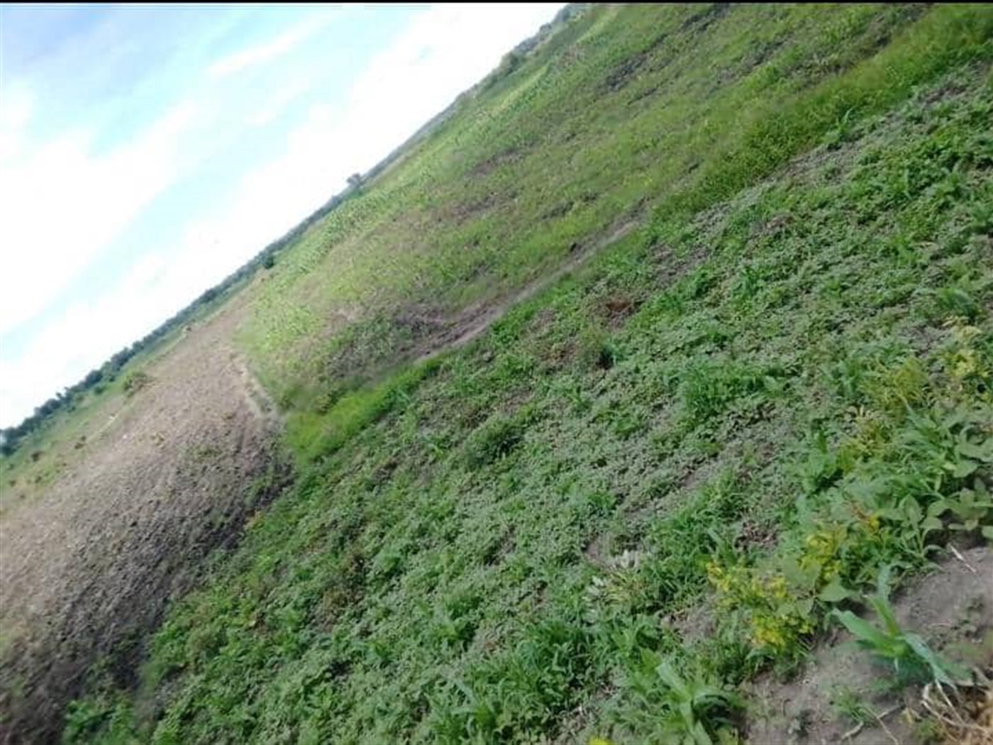 Residential Land for sale in Bugerere Kayunga