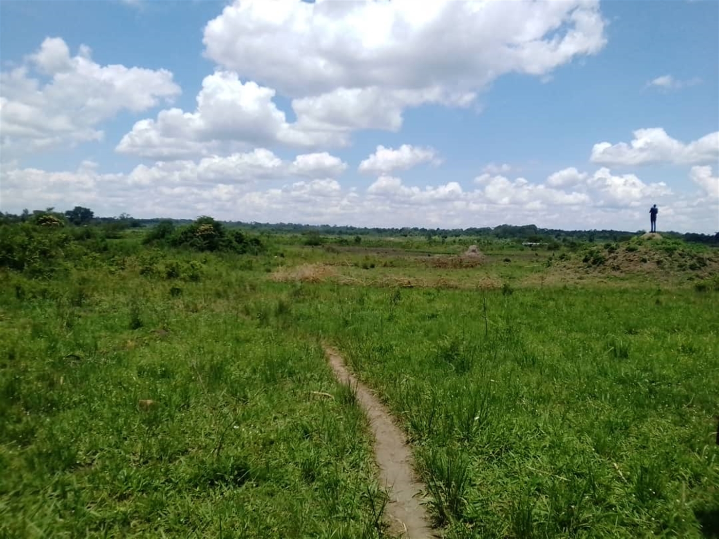 Residential Land for sale in Bugerere Kayunga