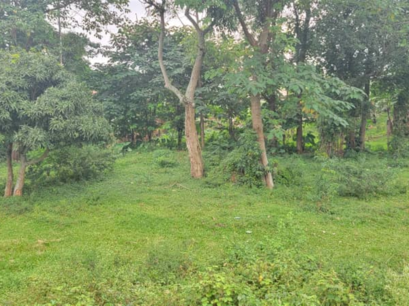 Residential Land for sale in Kiwaatule Kampala