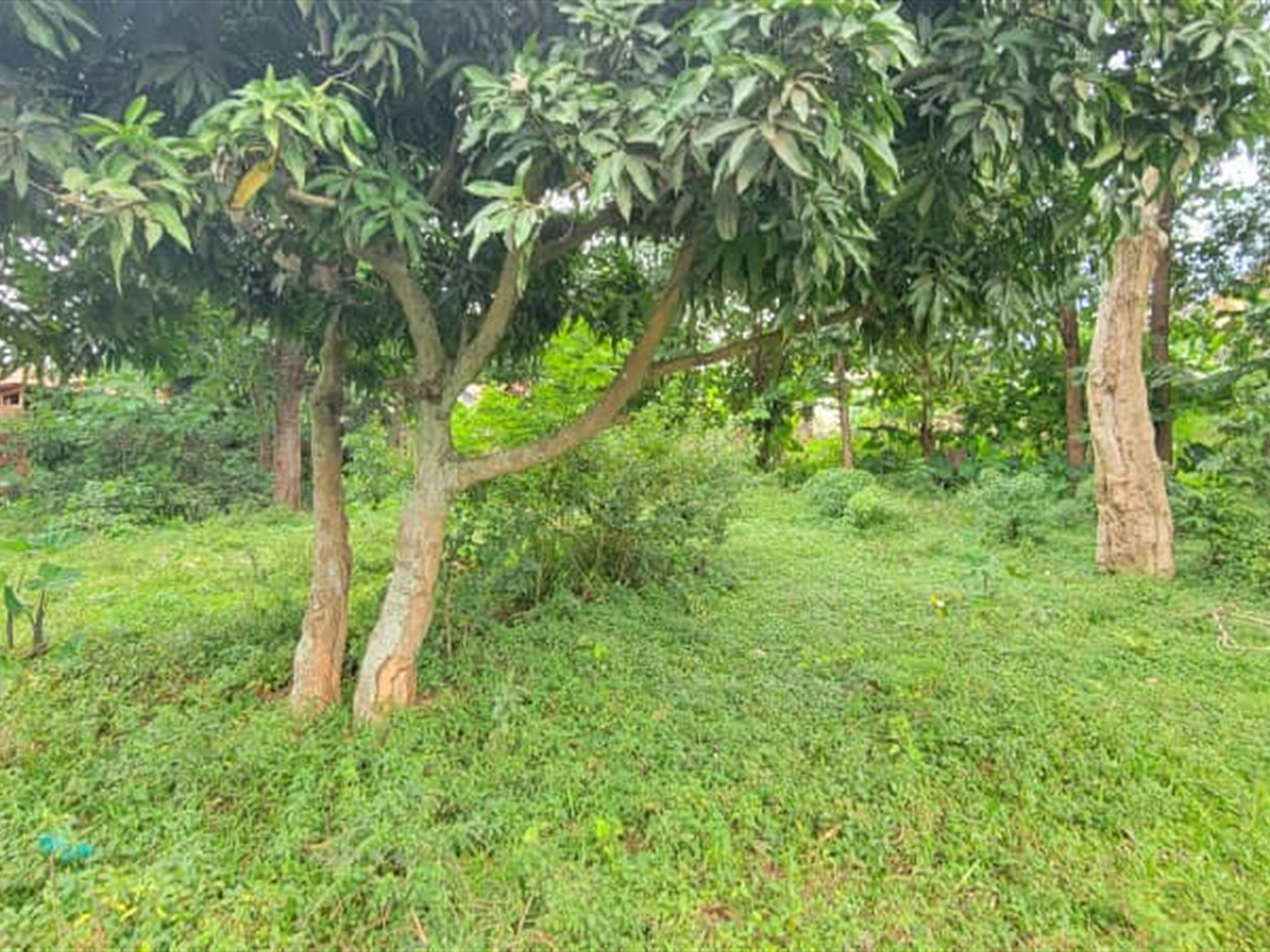 Residential Land for sale in Kiwaatule Kampala