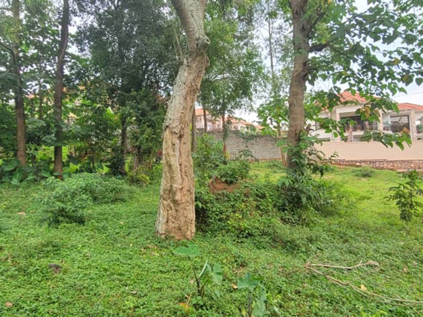 Residential Land for sale in Kiwaatule Kampala