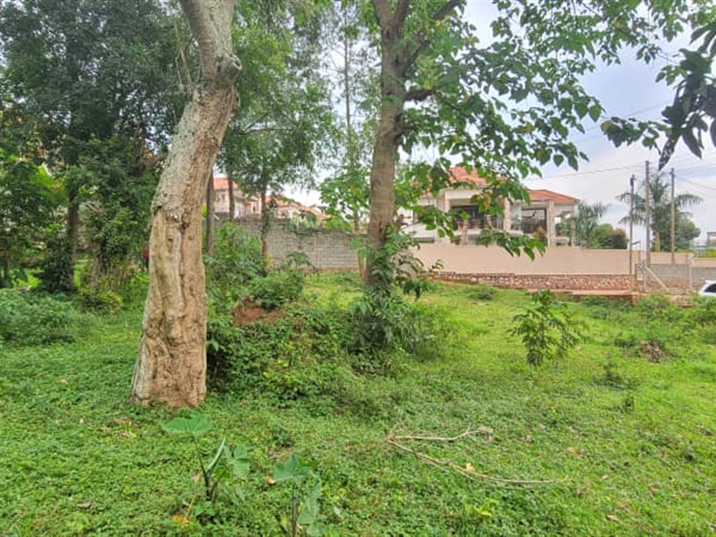 Residential Land for sale in Kiwaatule Kampala