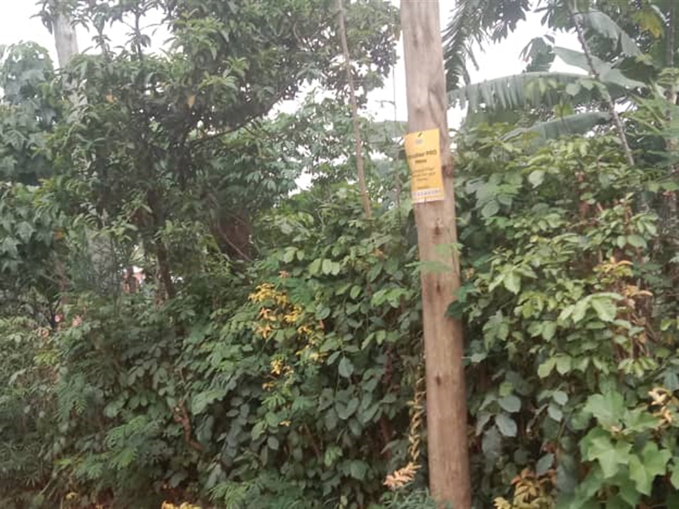 Residential Land for sale in Kisaasi Kampala