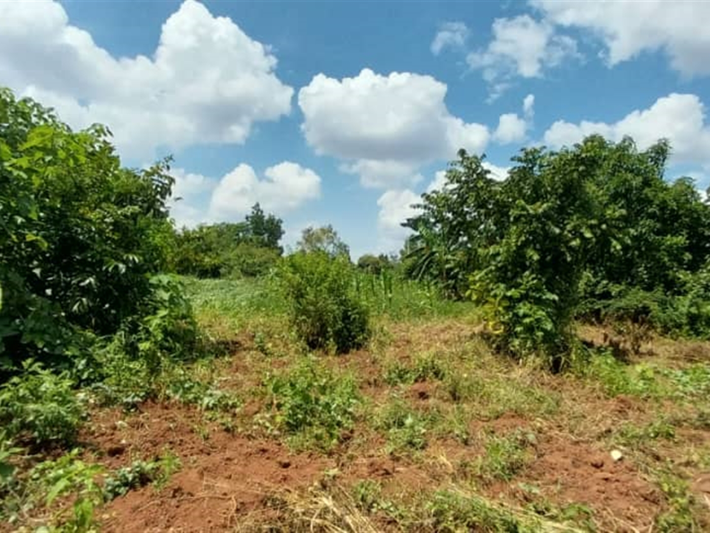 Residential Land for sale in Kiwologoma Wakiso