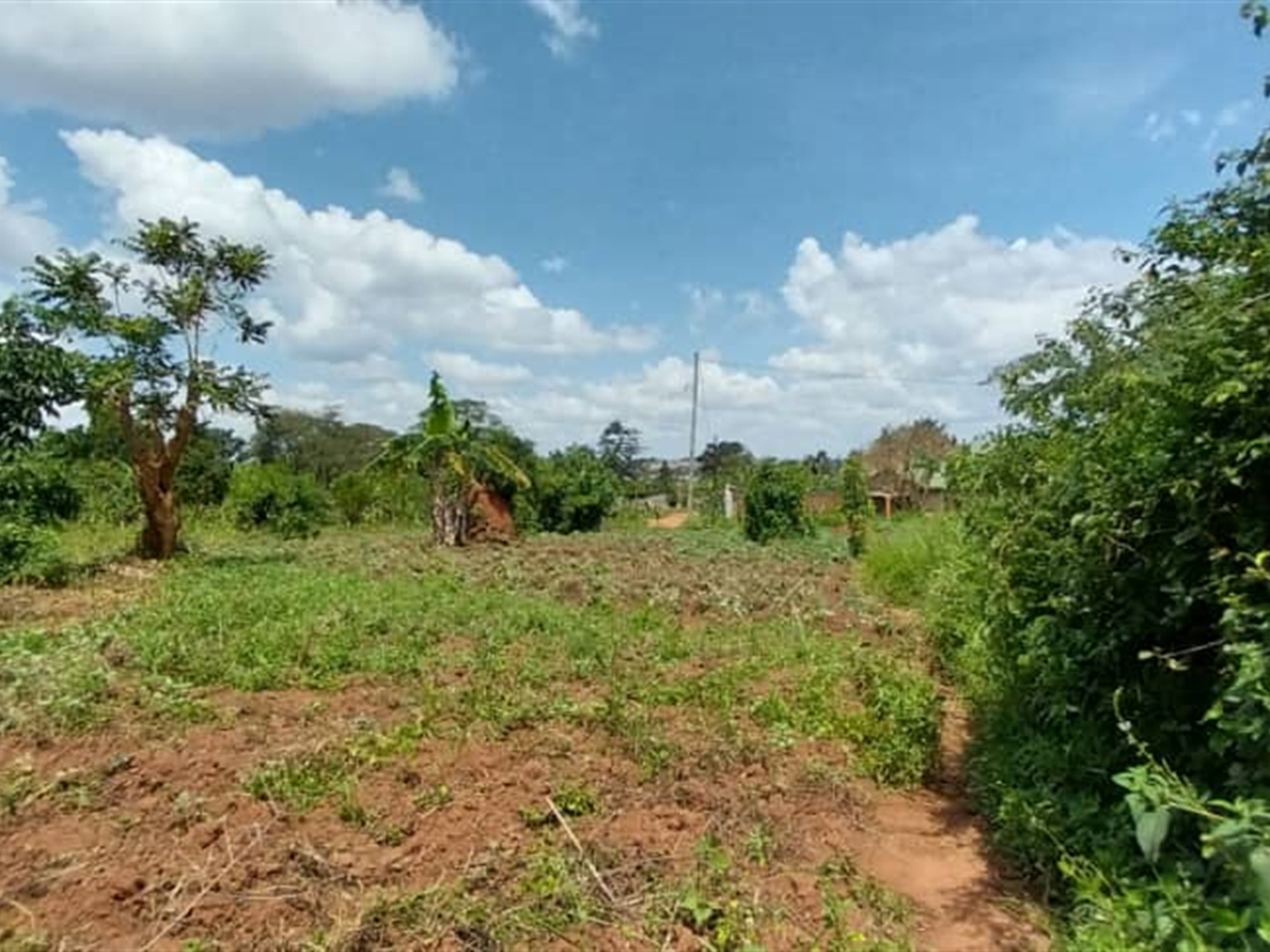 Residential Land for sale in Kiwologoma Wakiso