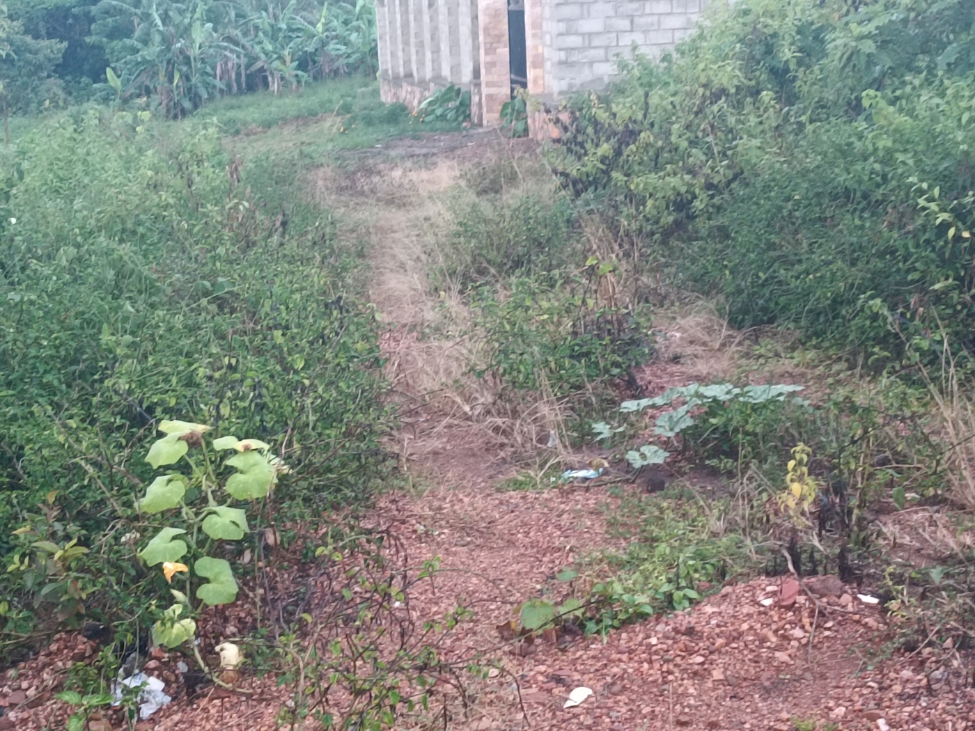 Residential Land for sale in Kira Wakiso