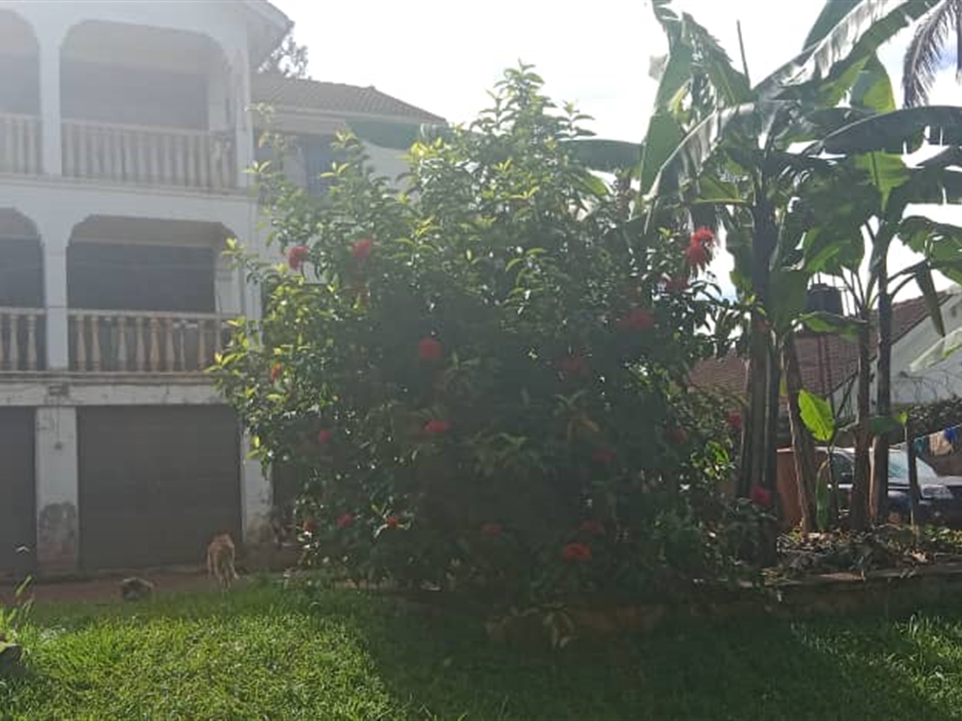 Storeyed house for sale in Luzira Kampala