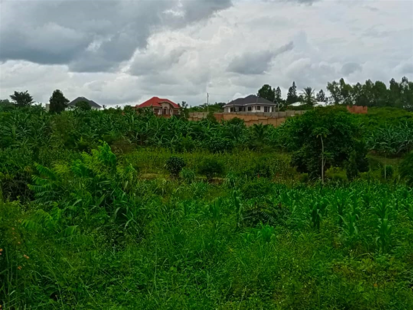 Residential Land for sale in Kiwenda Wakiso