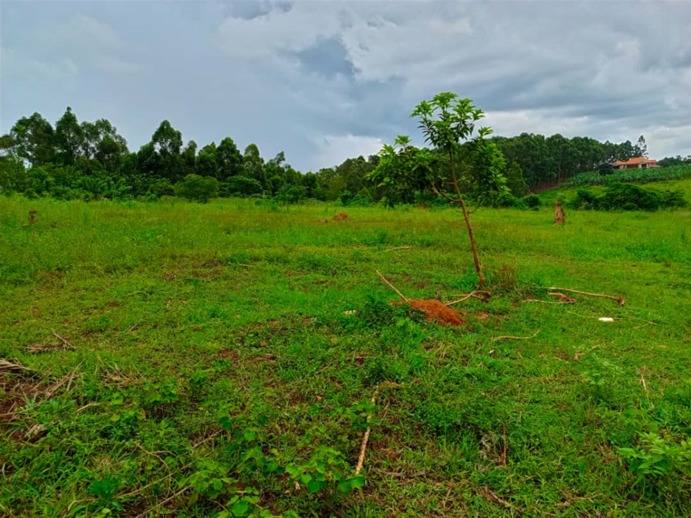 Residential Land for sale in Kiwenda Wakiso