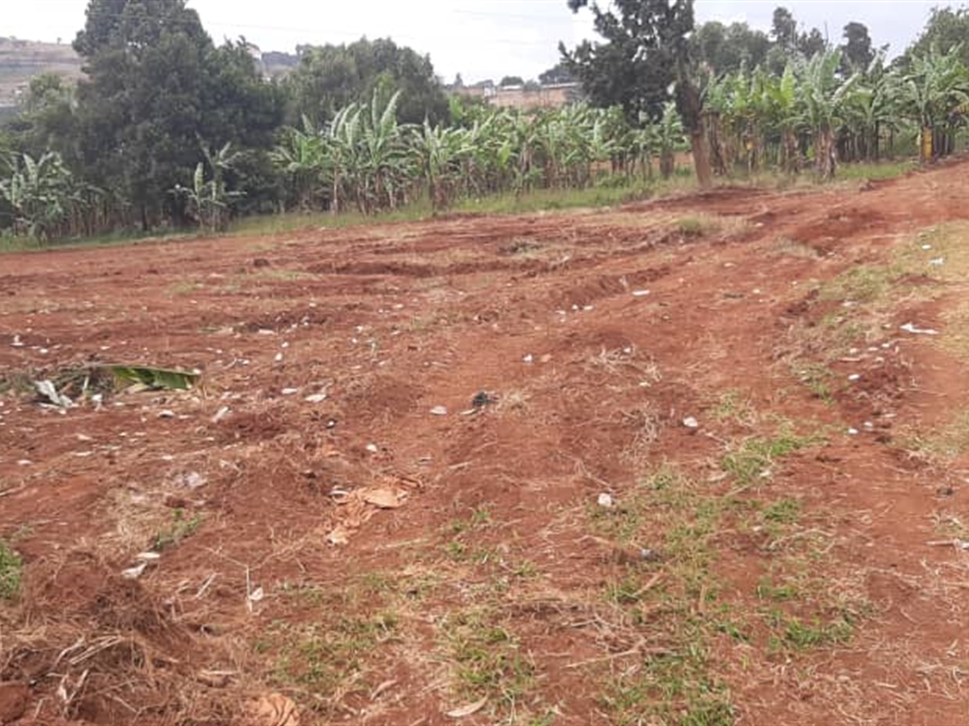 Residential Land for sale in Namulanda Wakiso