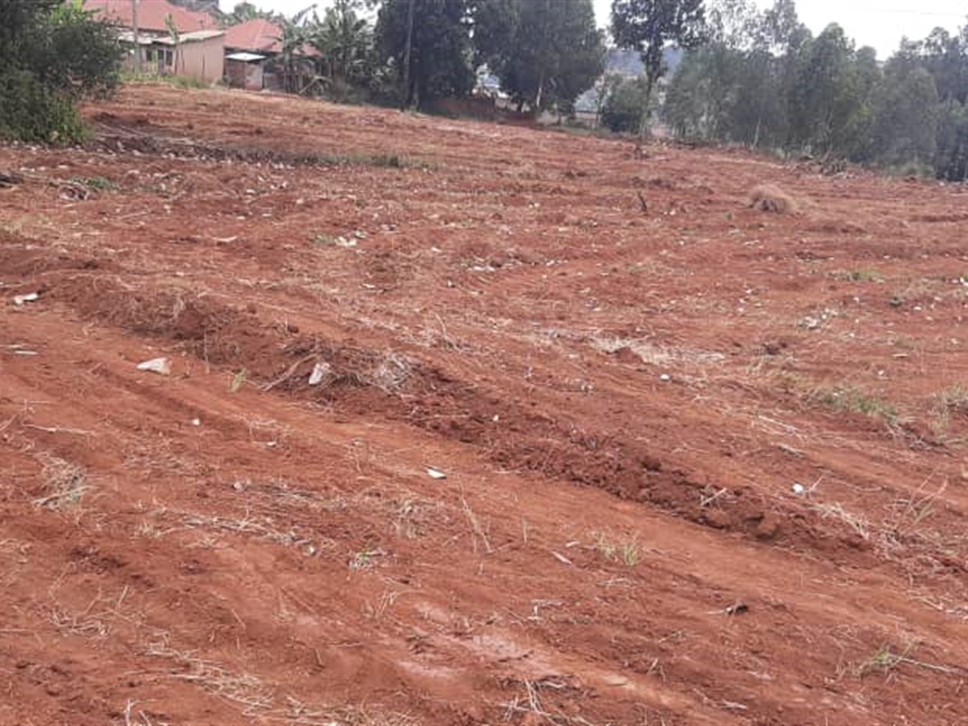 Residential Land for sale in Namulanda Wakiso