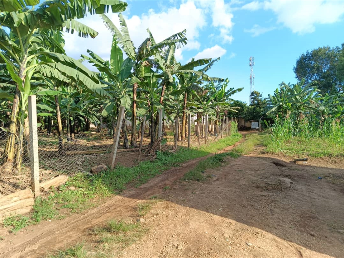 Residential Land for sale in Sonde Wakiso