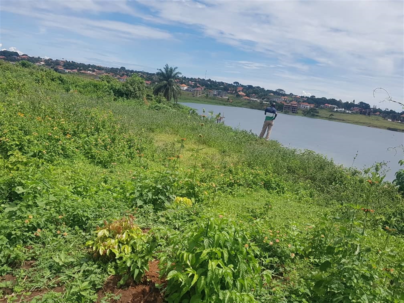 Residential Land for sale in Nkumba Wakiso