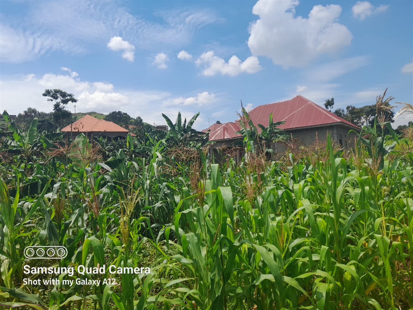 Residential Land for sale in Gayaza Wakiso