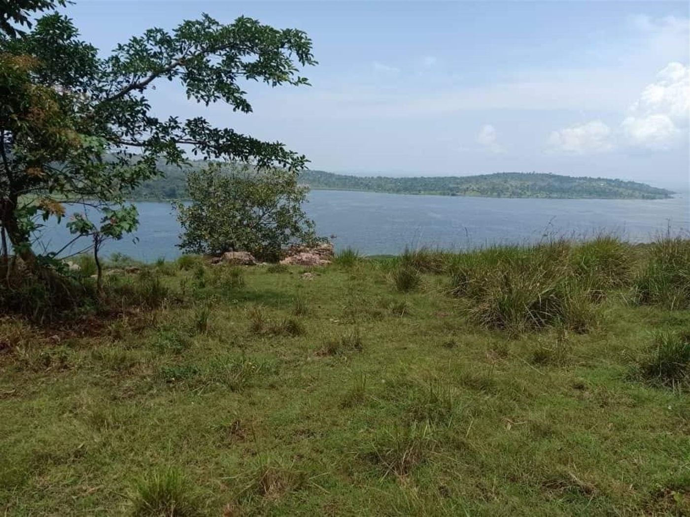 Residential Land for sale in Nkokonjeru Mukono