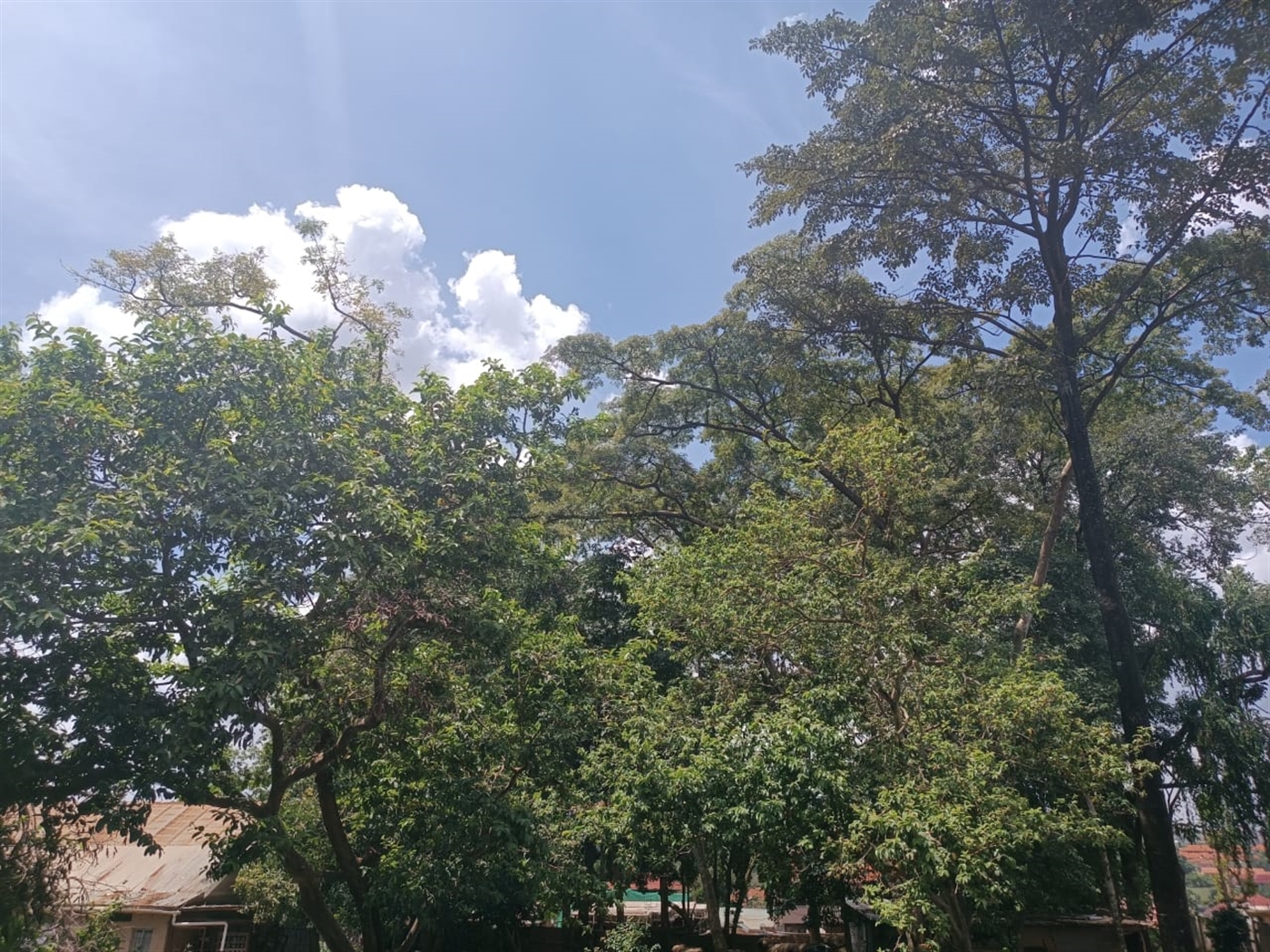 Residential Land for sale in Namugongo Wakiso