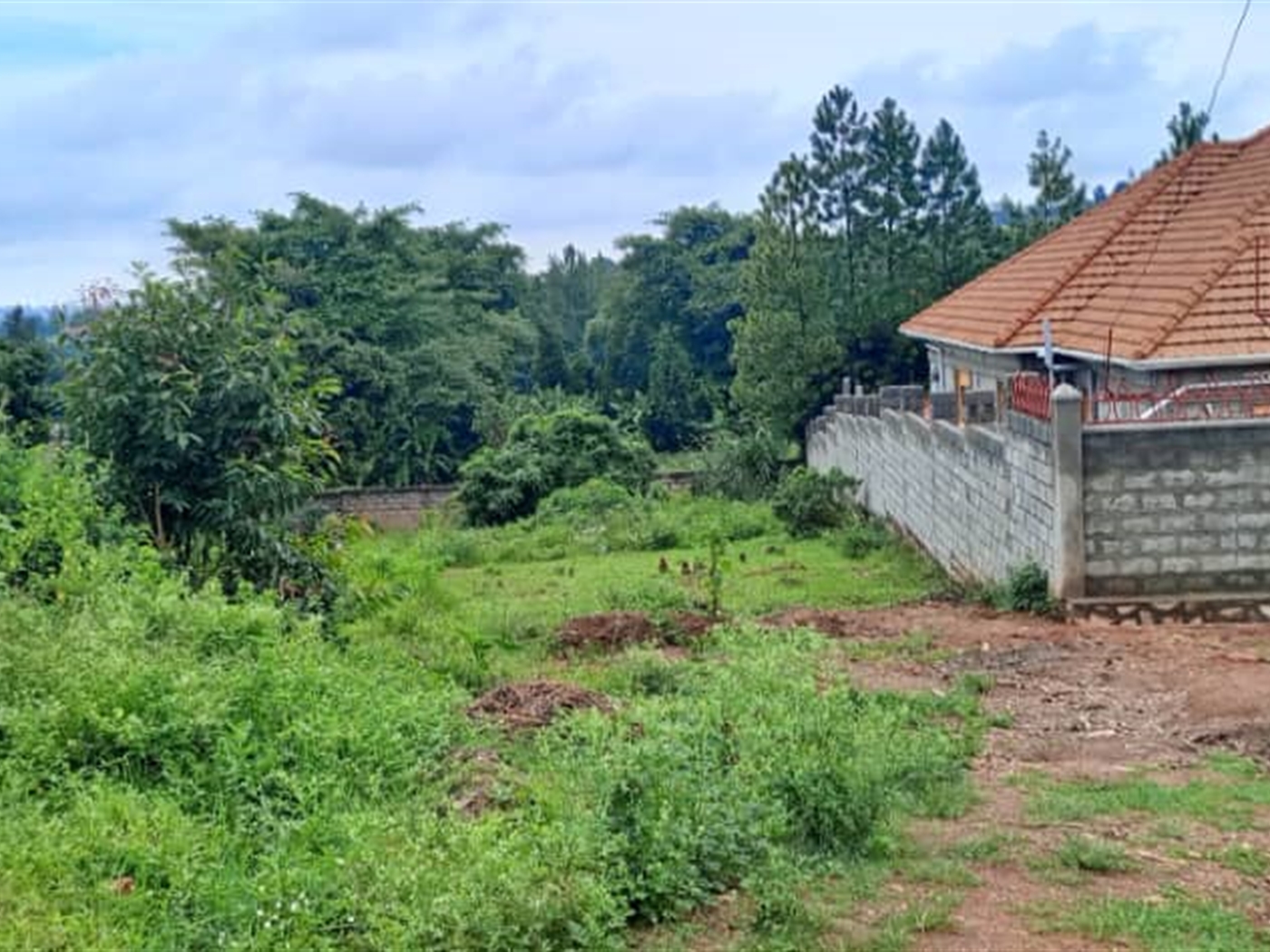 Residential Land for sale in Lutembe Wakiso