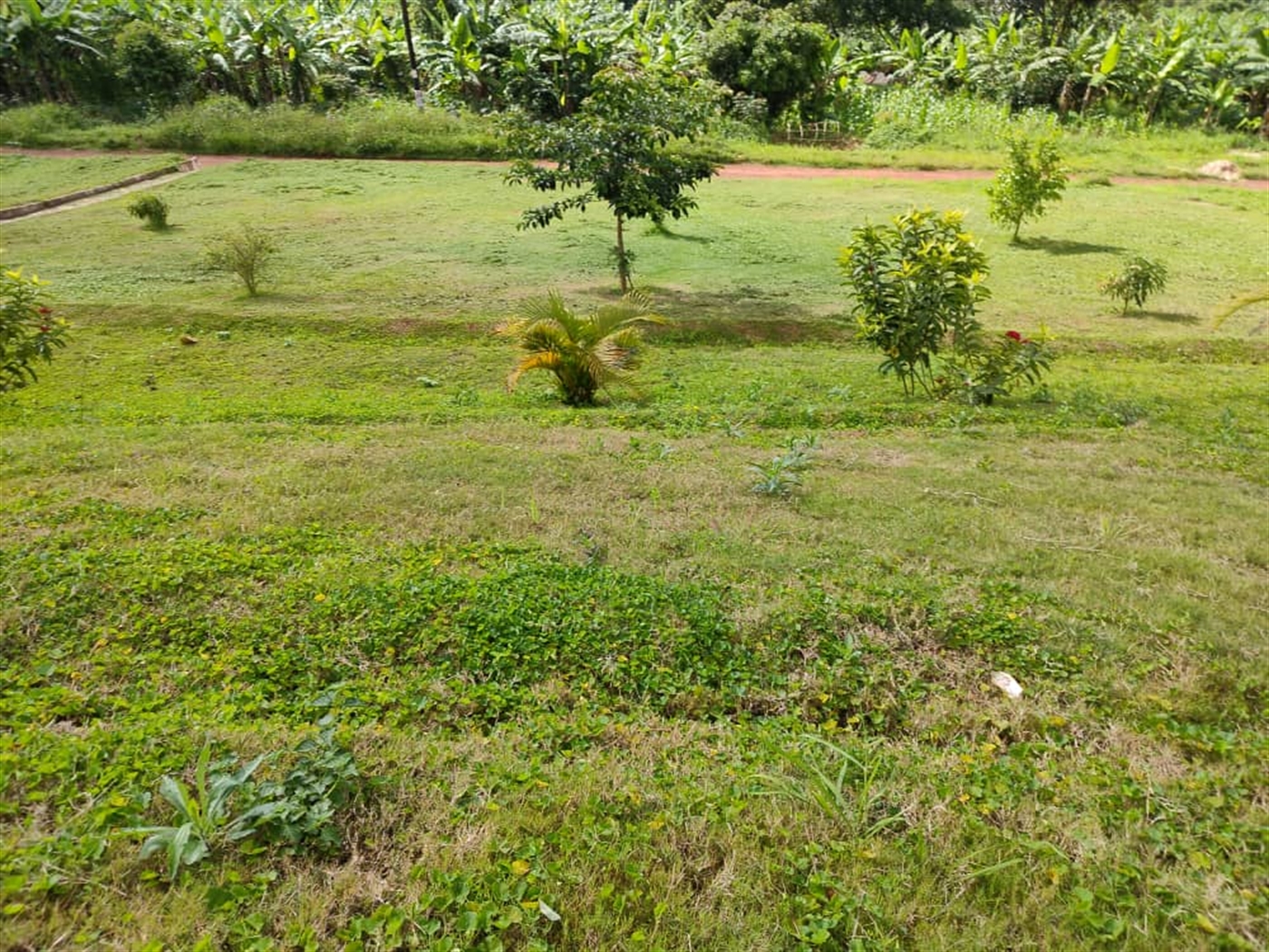 Bungalow for sale in Kamuvobe Mityana