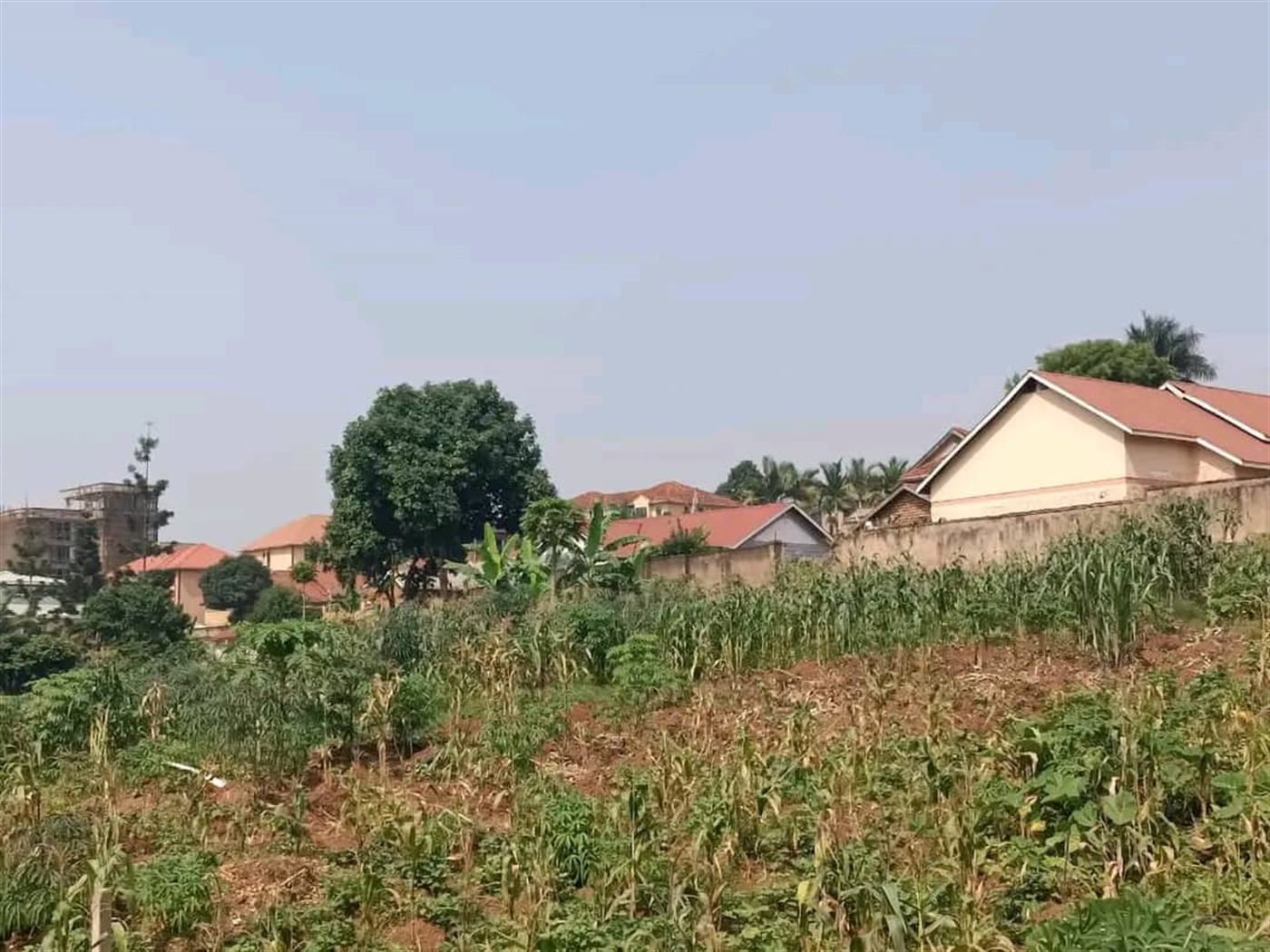 Residential Land for sale in Naalya Wakiso