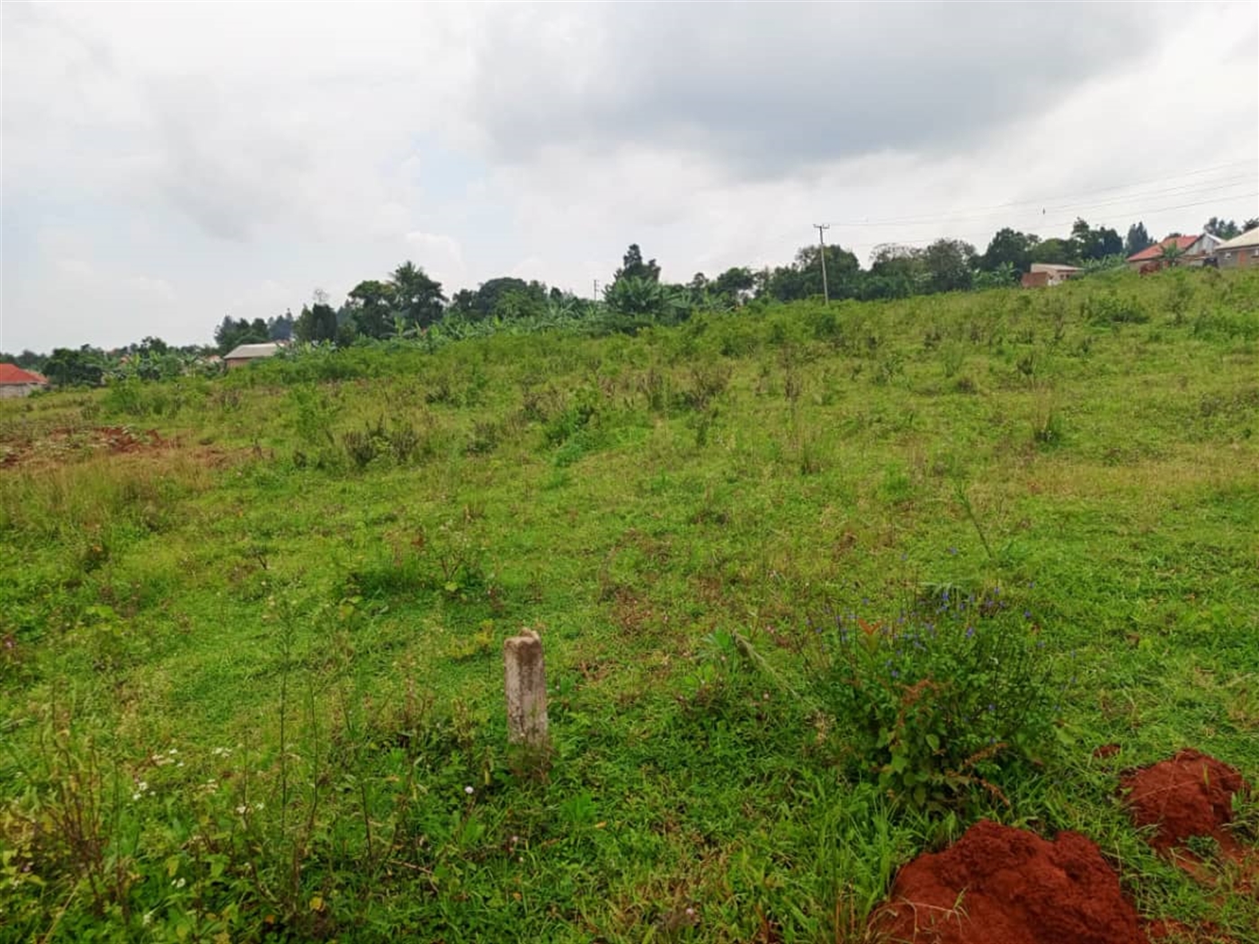 Residential Land for sale in Kira Wakiso