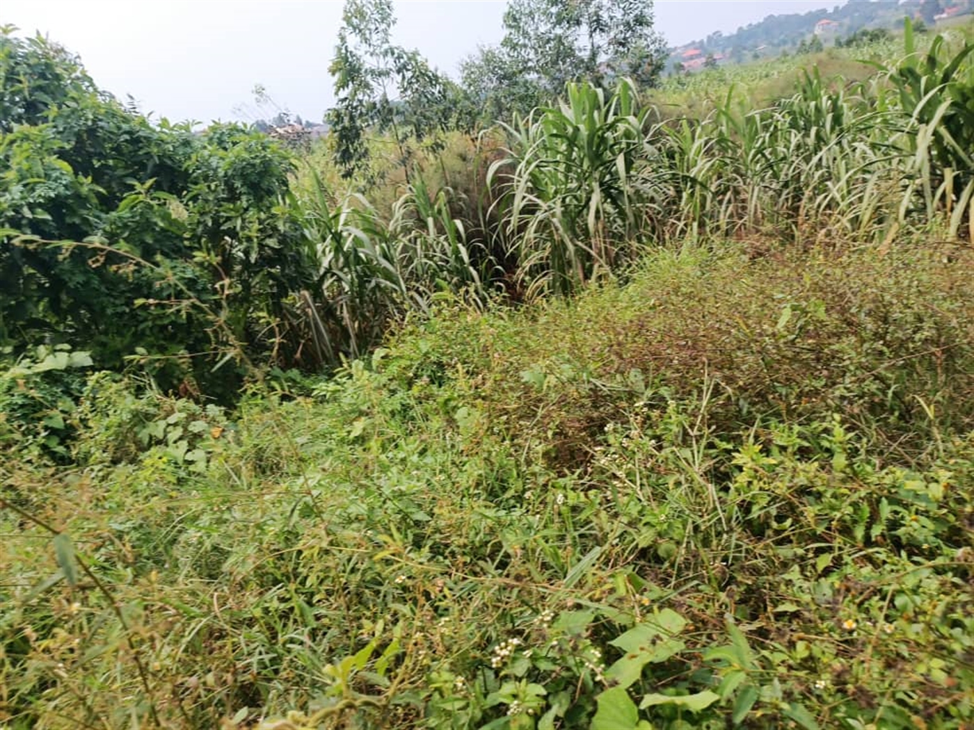 Residential Land for sale in Kira Wakiso