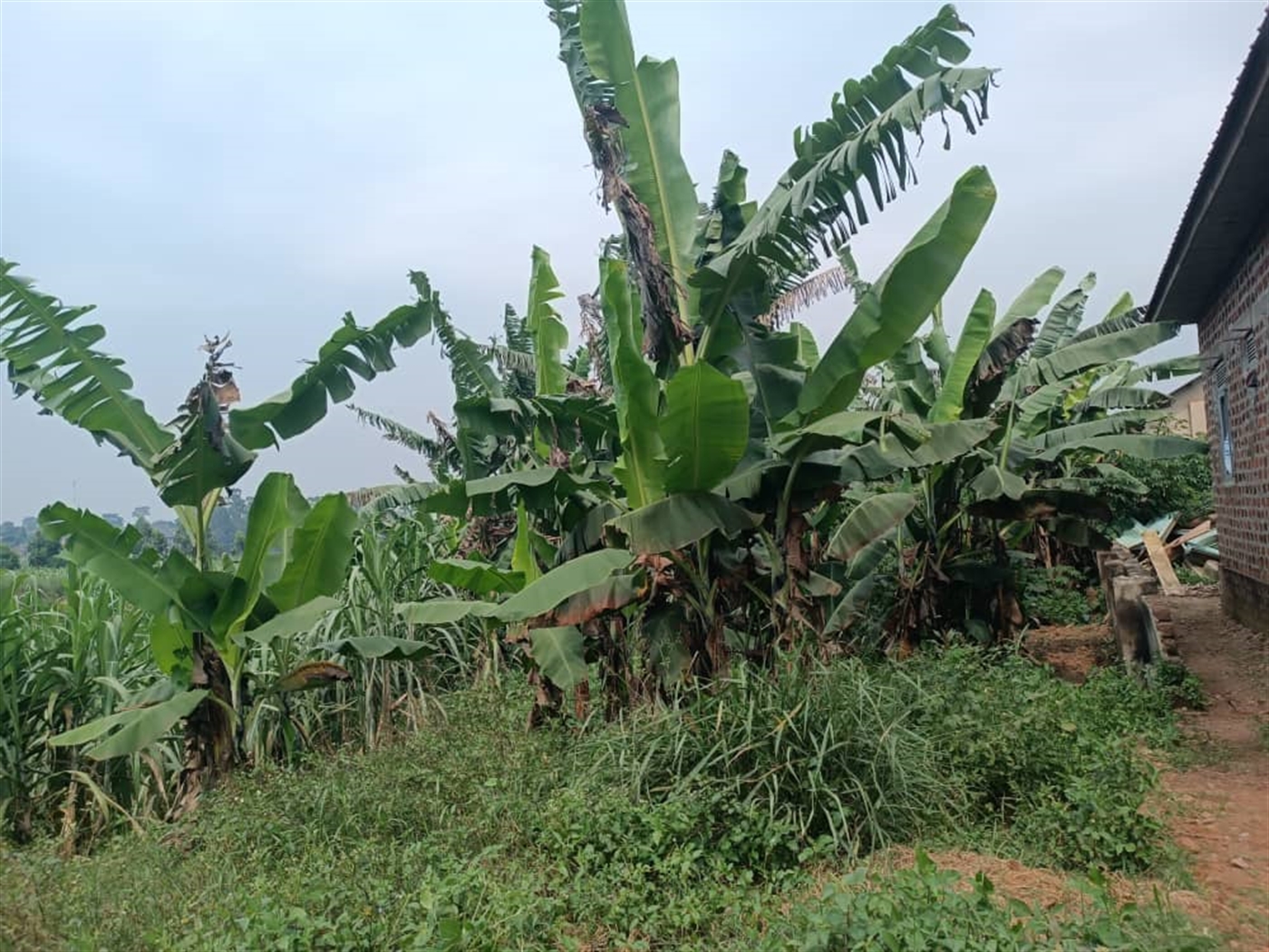 Residential Land for sale in Kira Wakiso