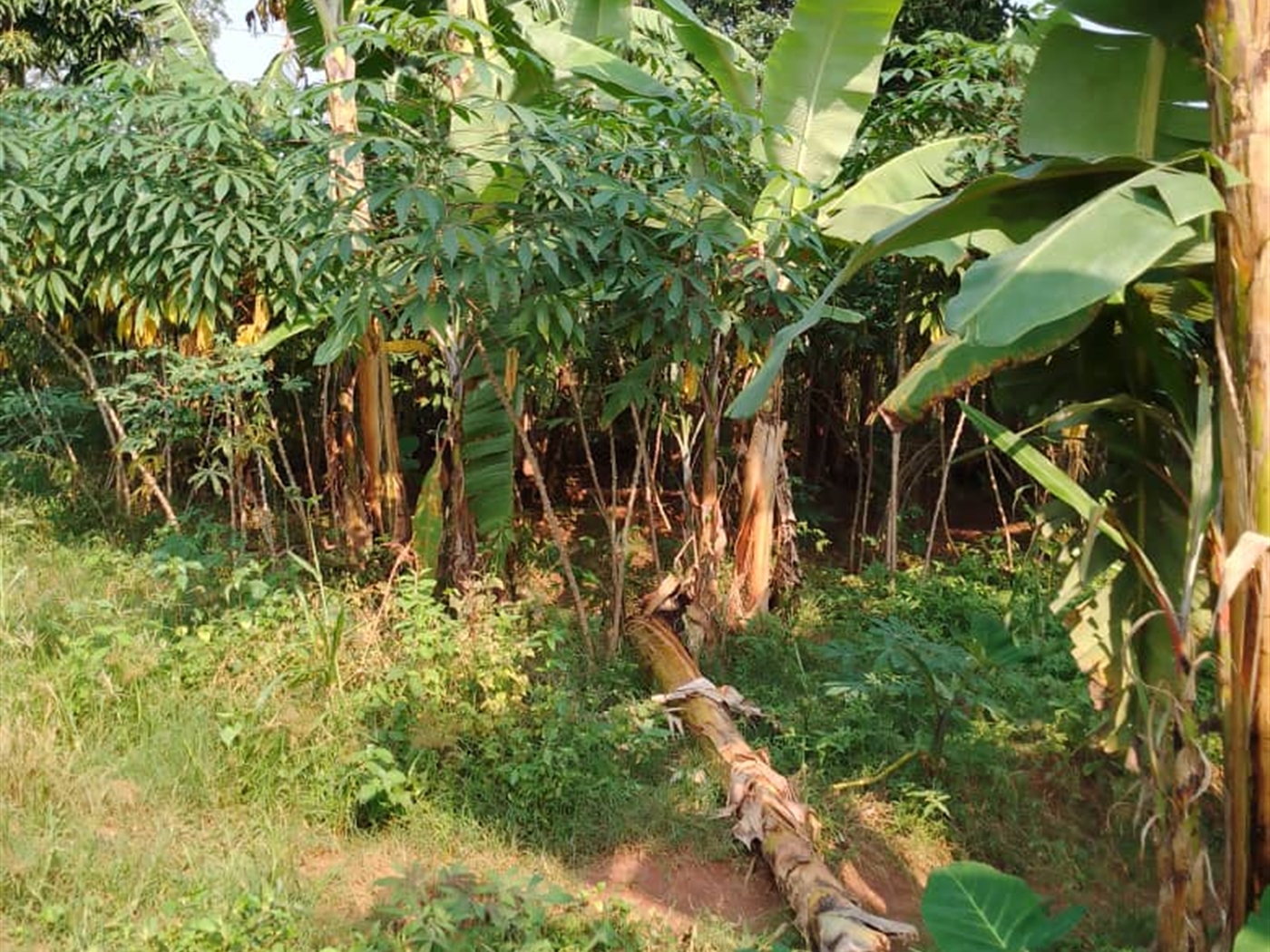 Residential Land for sale in Bukasa Wakiso