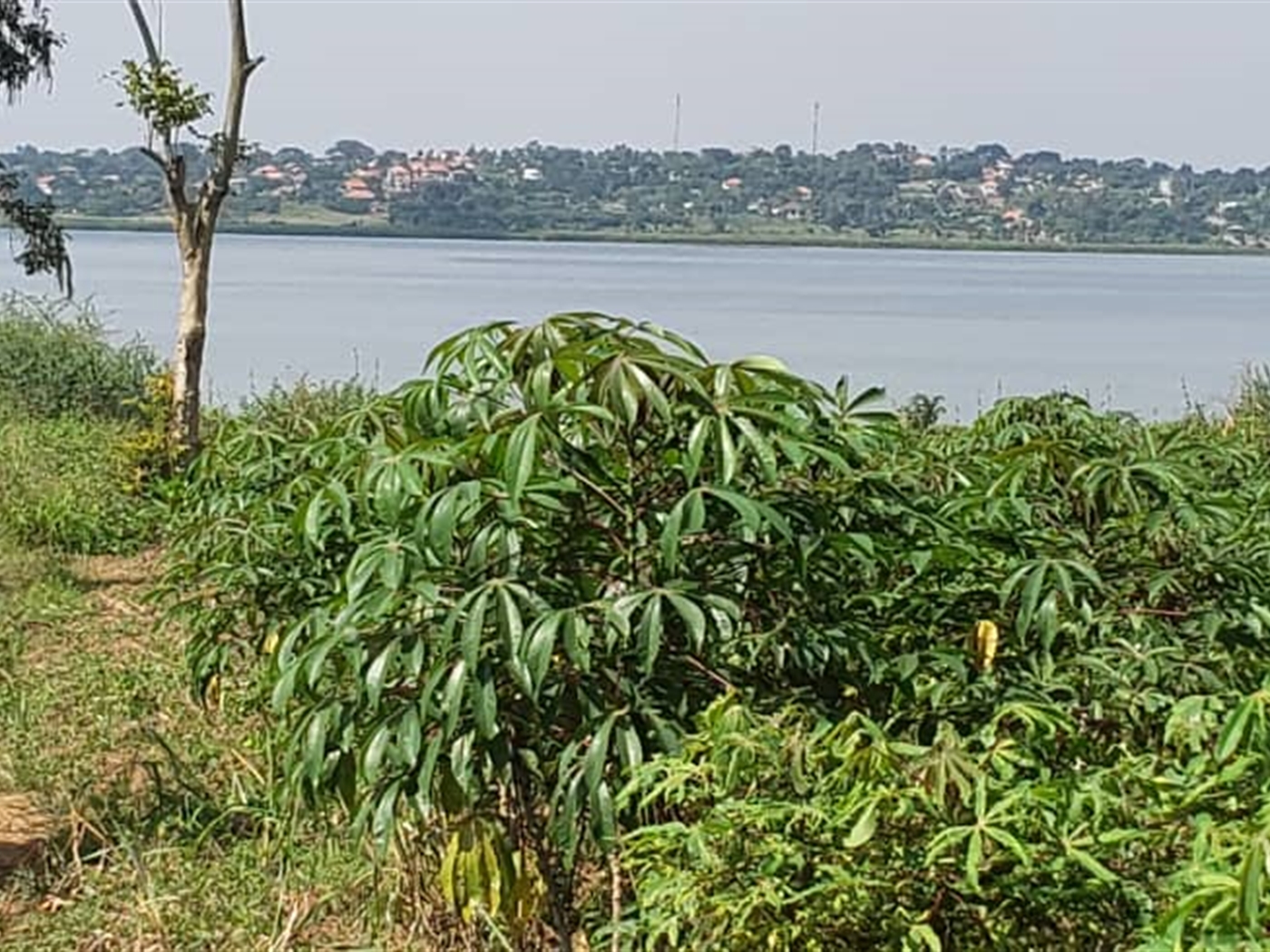 Residential Land for sale in Bukasa Wakiso