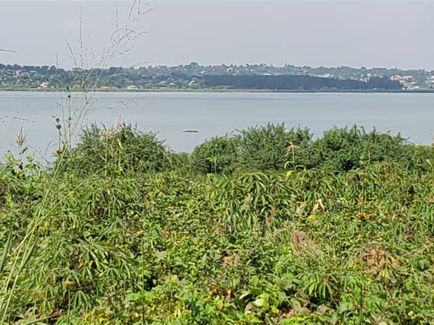 Residential Land for sale in Bukasa Wakiso