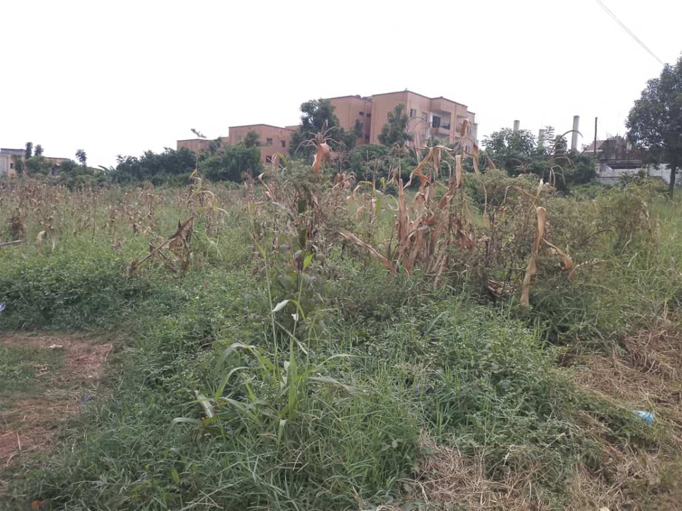 Commercial Land for sale in Komamboga Wakiso