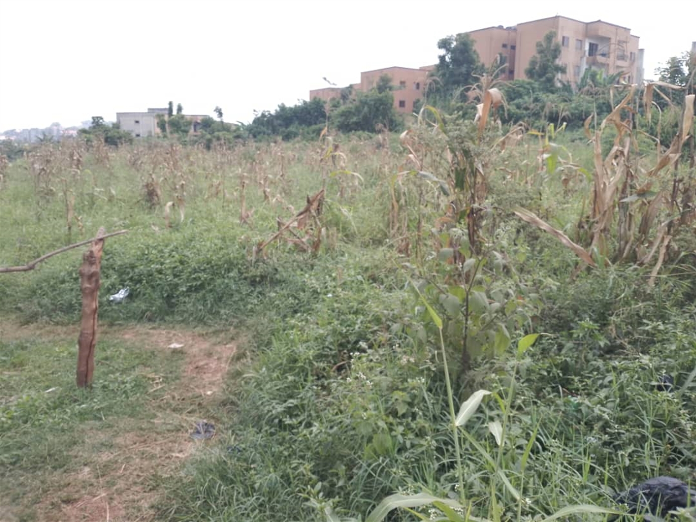 Commercial Land for sale in Komamboga Wakiso