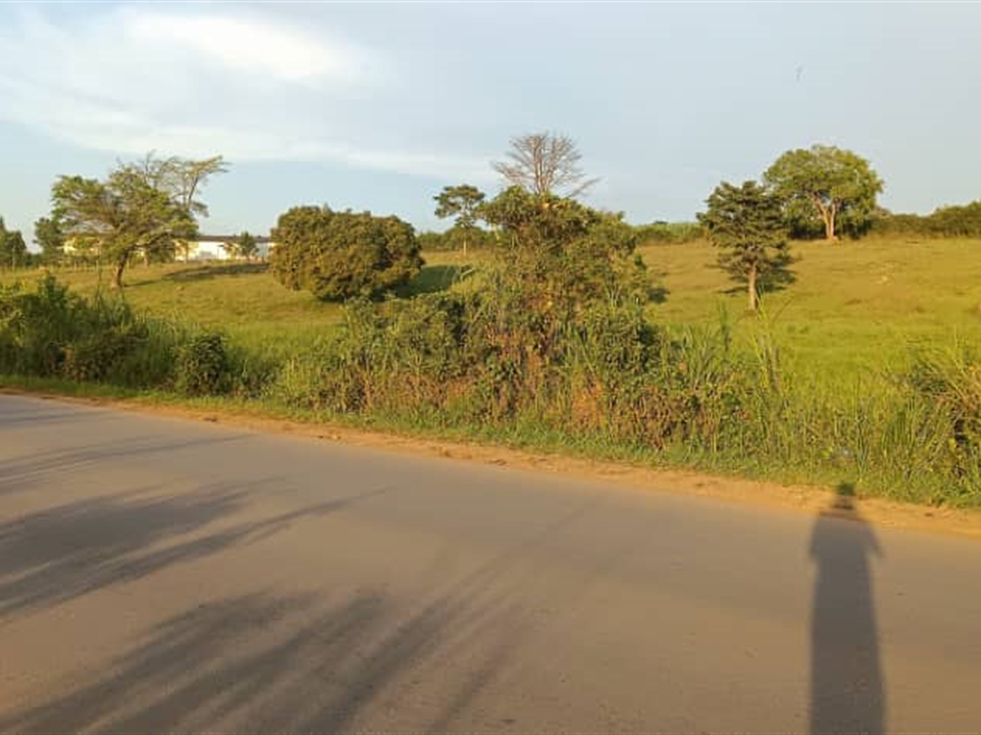 Commercial Land for sale in Matugga Wakiso