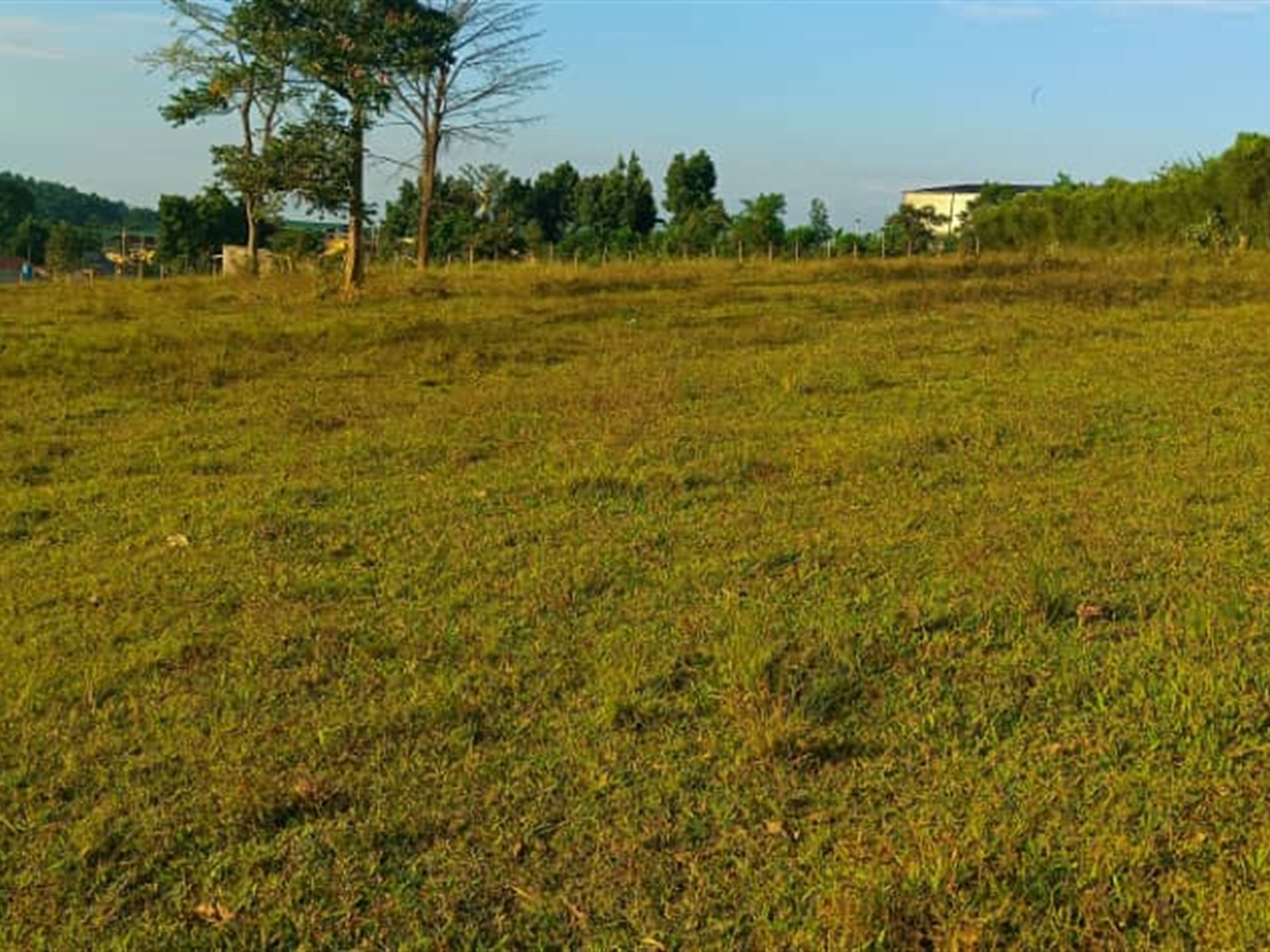 Commercial Land for sale in Matugga Wakiso