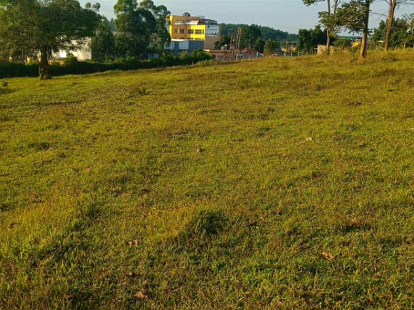 Commercial Land for sale in Matugga Wakiso