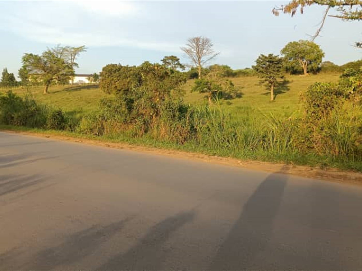 Commercial Land for sale in Matugga Wakiso